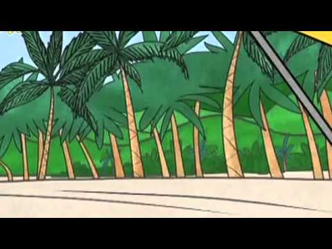 Doki Bir Balina Öyküsü TRT Çocuk