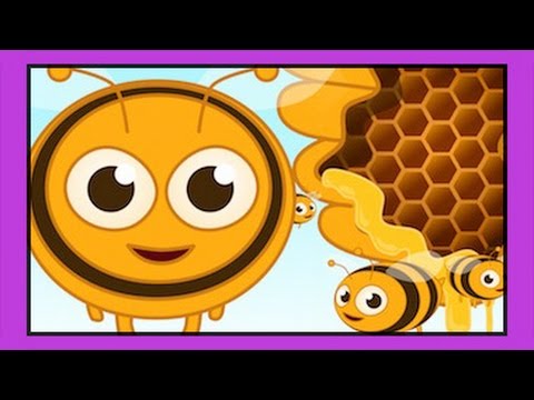 Arı Vız Vız Vız – Sevimli Dostlar Çocuk Şarkıları