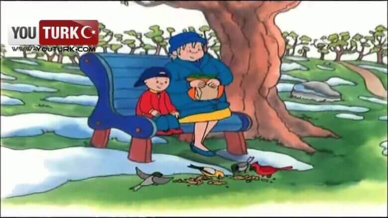 Caillou Türkce – Caillou Kuslari izlemeye gidiyor