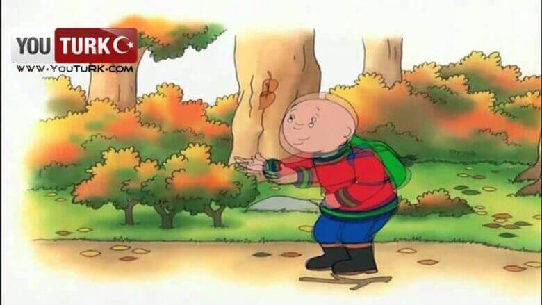 Caillou Türkce – Yeni Yaprak
